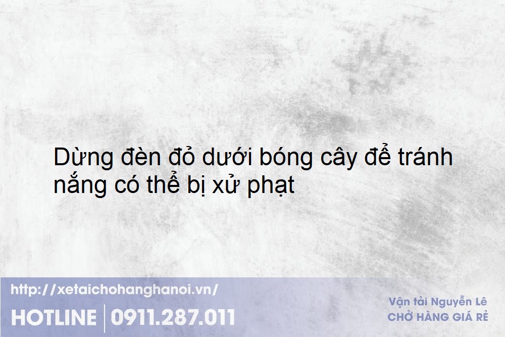 Dừng đèn đỏ dưới bóng cây để tránh nắng có thể bị xử phạt