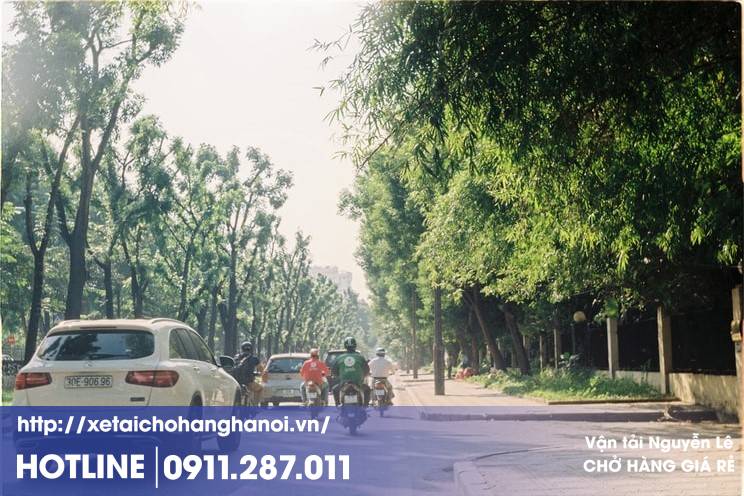 Xe tải chở cây cảnh, cây xanh bằng xe tải an toàn giá rẻ ở khu vực Hà Nội và các tỉnh